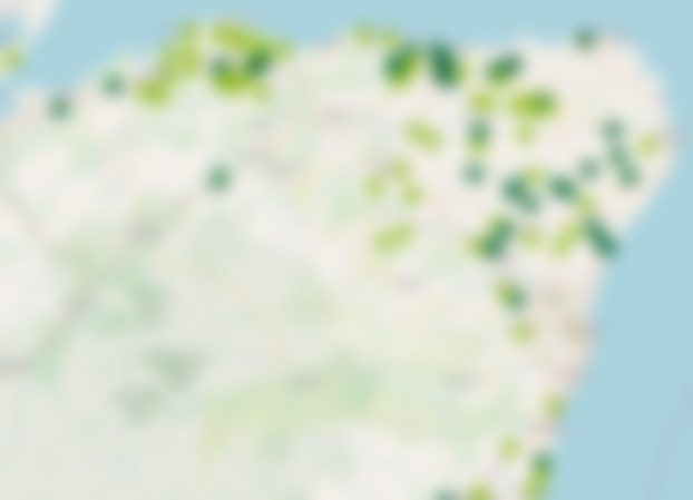 Blurred illustration of the SPHN map of north-east Scotland, showing the general spread of pig units