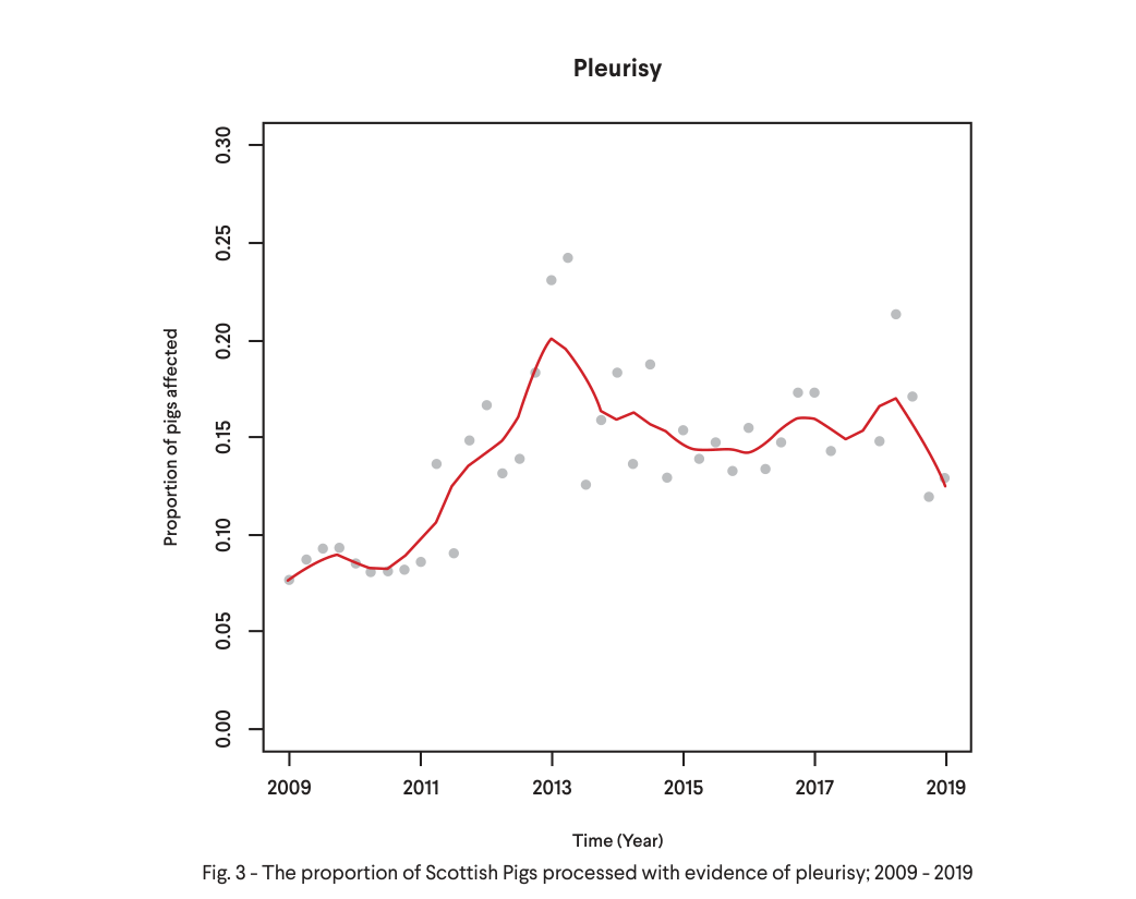 Line chart showing the proportion of Scottish pigs with pleurisy at slaughter rising from about 8% in 2009 to a peak of about 20% in 2013, then staying around 14 to 17% until 2019.